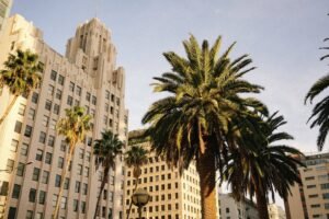 1031 Exchange Investment Strategy